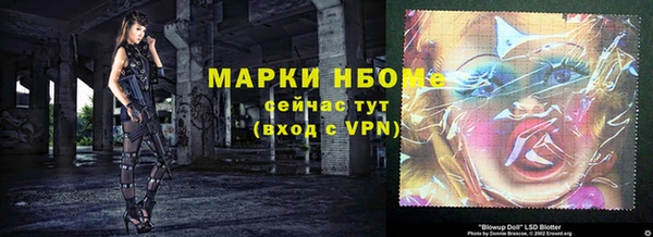 хмурый Бородино