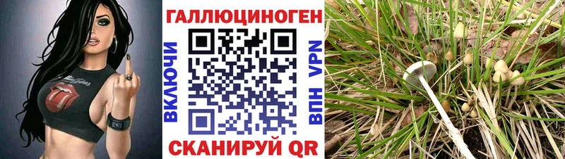 Галлюциногенные грибы ЛСД  Старица 