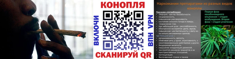 Каннабис план Старица